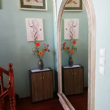 Апартаменты Nikoleon Historical Center And Sea View House *
